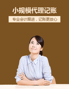 代理记账服务